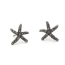 Starfish earrings